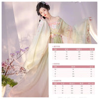 hanfu-robe-brod-e-manches-larges