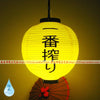 lampion-chinois-tanche-style-japonais