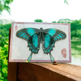 cerf-volant-chinois-papillon-mini-de-poche