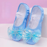 ballerines-chinoises-pattes-de-chat