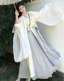 hanfu-princesse-costume-tang-dames