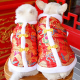 d-guisement-chinois-chien