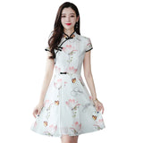 robe-chinoise-slim-qipao