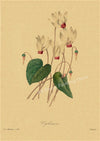 tableau-chinois-r-tro-53-fleurs