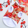 d-guisement-chinois-chien