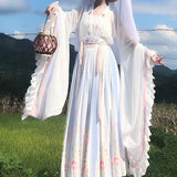 hanfu-robe-princesse-dynastie-wei-jin
