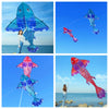 cerf-volant-poisson-grand-adultes