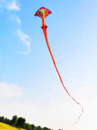 cerf-volant-chinois-grand-dragon