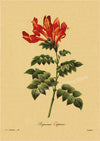 tableau-chinois-r-tro-53-fleurs