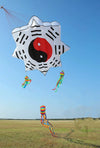 cerf-volant-chinois-grand-dragon-nylon