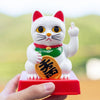 porte-bonheur-chat-chinois-doigt-vertical