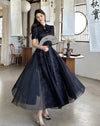 robe-chinoise-noire-style-qipao