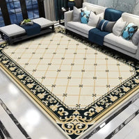 tapis-chinois-moderne-simple