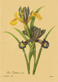 tableau-chinois-r-tro-53-fleurs