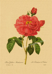 tableau-chinois-r-tro-53-fleurs