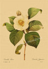 tableau-chinois-r-tro-53-fleurs