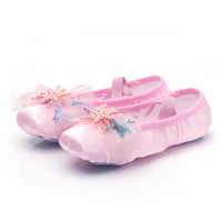 ballerines-chinoises-pattes-de-chat