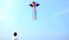 cerf-volant-chinoise-arc-en-ciel