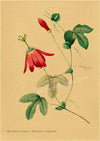 tableau-chinois-r-tro-53-fleurs