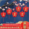 lampion-chinois-plante