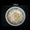 assiettes-chinoises-style-pastel
