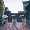 ombrelle-chinoise-feux-dartifice