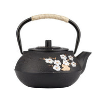 theiere-chinoise-en-fonte