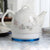 Théière Chinoise Électrique Vintage