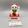chat-chinois-doigt-dhonneur