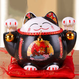 chat-chinois-noir