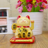 chat-chinois-solaire