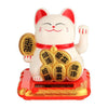 chat-chinois-solaire