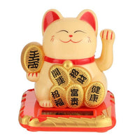 chat-chinois-solaire