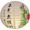 lanterne-chinoise-pivoine
