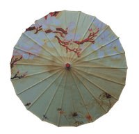 ombrelle-chinoise-branche-de-cerisier