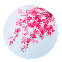 ombrelle-chinoise-fleur-de-prunier