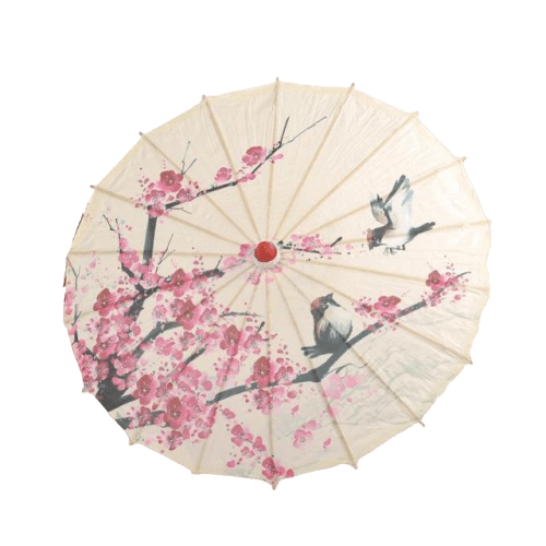 ombrelle-chinoise-fleurs-oiseaux