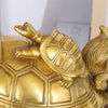 Porte-bonheur chinois Tortue