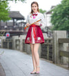 hanfu-jupe