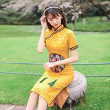 robe-chinoise-fleurs-brodees