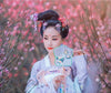 hanfu-danse-chinois