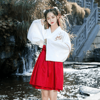 hanfu-court-a-manche-large
