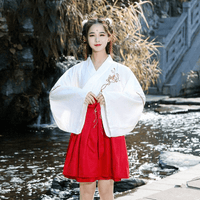 hanfu-court-a-manche-large