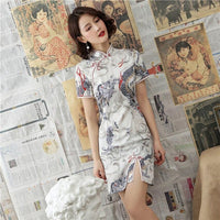 robe-chinoise-grues