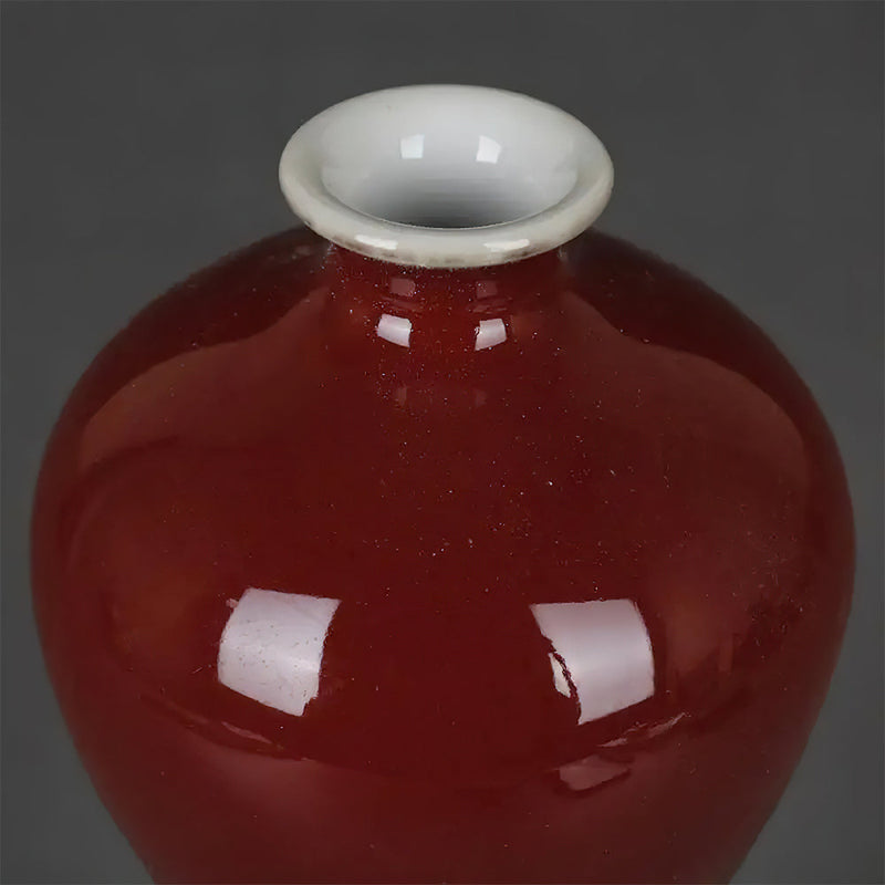 Vase Chinois Sang de Bœuf